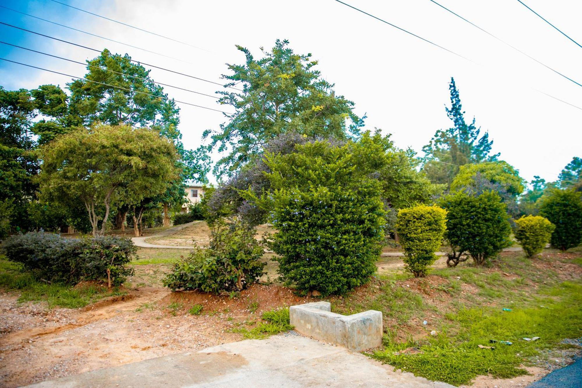 Sanctuary Aparthotel-Ac-Garden- Solar-Wi-Fi -Firepit-Park-Carport 卢萨卡 外观 照片